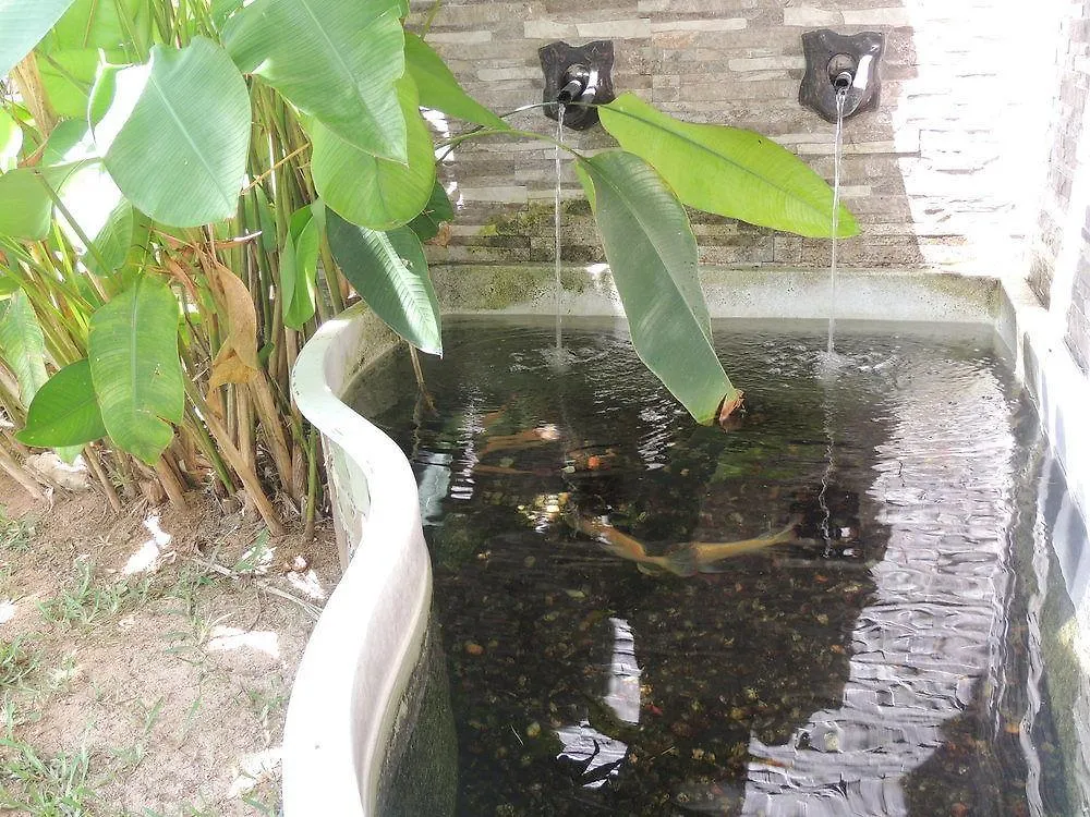 Hotel La Roussette Anse aux Pins 3*,